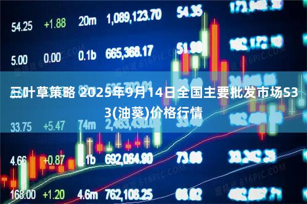 三叶草策略 2025年9月14日全国主要批发市场S33(油葵)价格行情