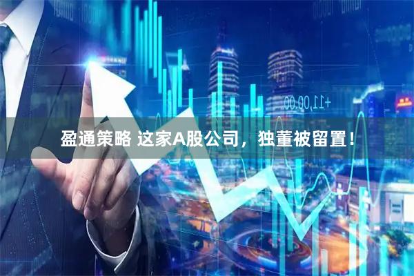 盈通策略 这家A股公司，独董被留置！