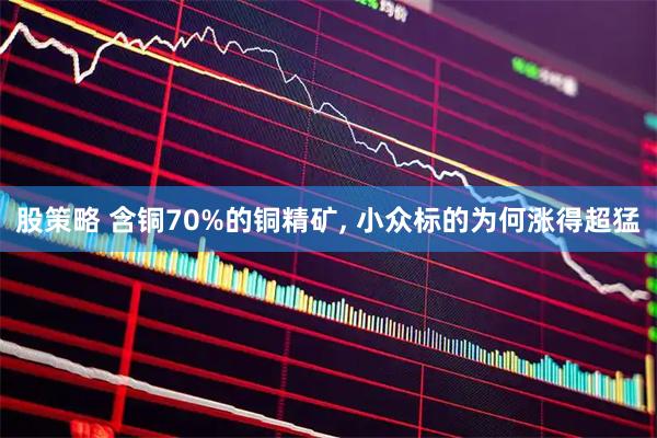 股策略 含铜70%的铜精矿, 小众标的为何涨得超猛